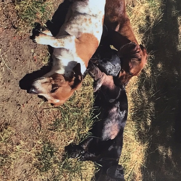 Meet your Posher, Kathleen - Picture 1 of 1